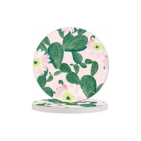Pznen Cactus Flowers Coasters for Coffee Table Watercolor Plant Cute Desert Exotic Nature Botanical Housewarming Gift for Women Men Home Decor Office Kitchen Living Room 2 Pcs Cover