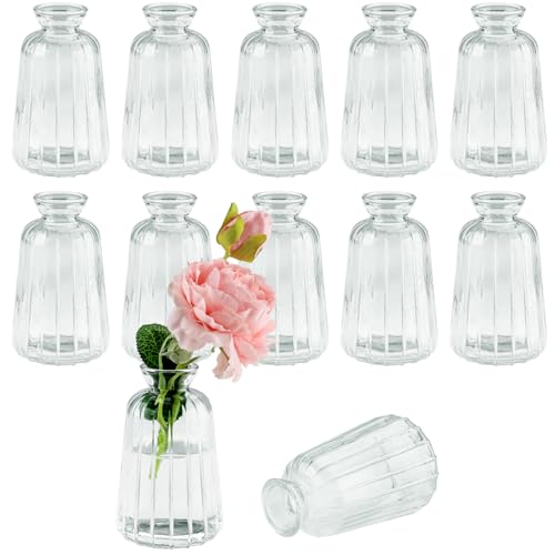 Zosenyer 12 Vasi in Vetro, Mini Bottiglie di Vetro, Set di Piccoli Vasi Decorativi, Vaso per la Scrivania per Casa, Soggiorno, Tavolo da Pranzo, Ingresso, Ufficio