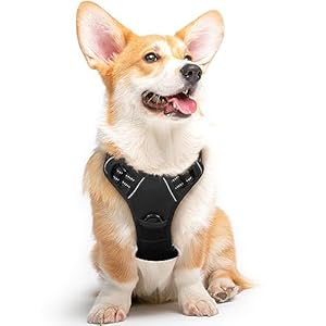 Eagloo Dog Harness Medium, No Pull Dog Harness Adjustable, Front Clip Dog Vest Harness, Soft Padded Pet Vest, Reflective No-Choke Breathable with Easy Control Handle, Black, M
