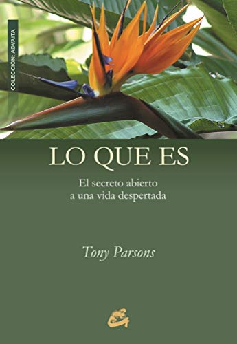 Lo que es: El secreto abierto a una vida despertada (Advaita) (Spanish Edition) Lo que es: El secreto abierto a una vida despertada (Advaita) (Spanish Edition)