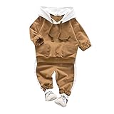 Toddler Baby Boy Casual Clothes Hooded Tops + Pants Sweatsuit Outfits Tracksuit (Borwn, 1-2 Years)