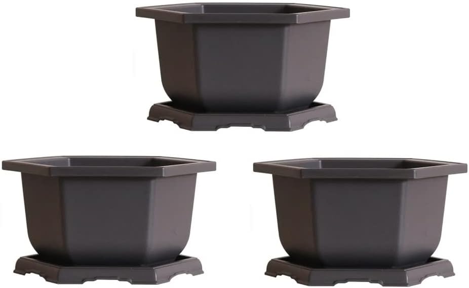 CZ Grain Large Hexagonal Bonsai Pot and Drip Tray - 11 inch Container with Tray (3 Pots)