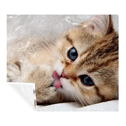 Couverture en microfibre chat charmant, le cadeau idéal chaud et doux
