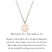 Zodiac Pendant Necklace Rose Gold Disc Horoscope Necklace Birthday Gift (Scorpio RG)