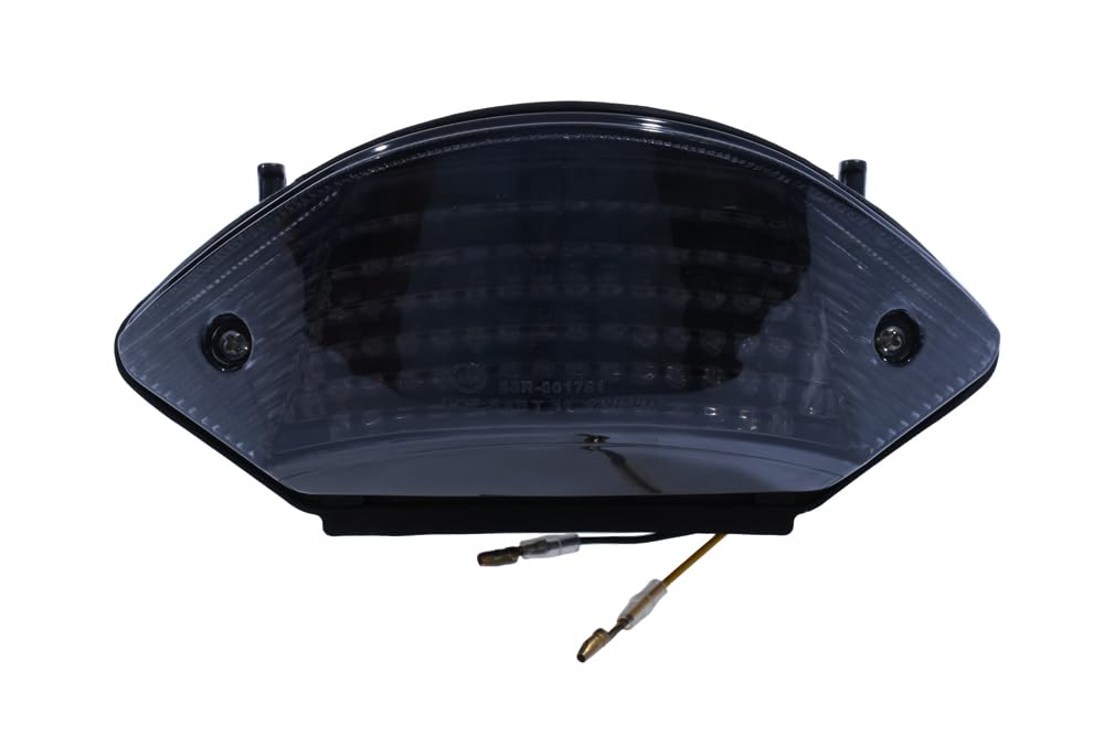 aVDB-moto LED Bremslicht/Rücklicht kompatibel mit HONDA CB900F Hornet 900 2002-2006 Plug & Play mit integrierten Blinkern (Getönt)
