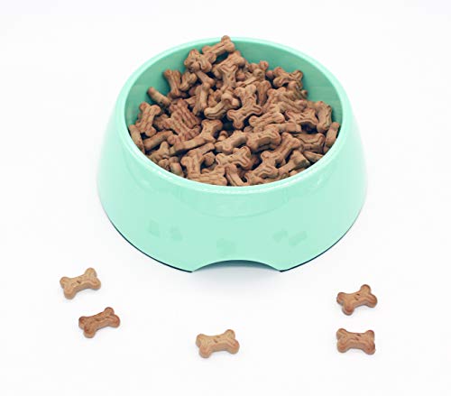 Image of The Pets Company Stainless Steel & Melamine Dog Feeding Bowl| Food Bowl for Dogs and Cats, 940 Ml, Large, Mint Green