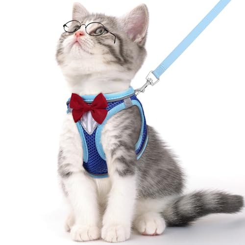 Cat Vest Harness and Leash Set for Walking Escape Proof, Adjustable Kitten Harness Breathable Mesh with Reflective Strips Harness for Kitty Puppy Bunny (Blue, XS)