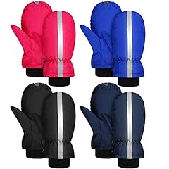 Black, Royal Blue, Rose Red, Navy Blue