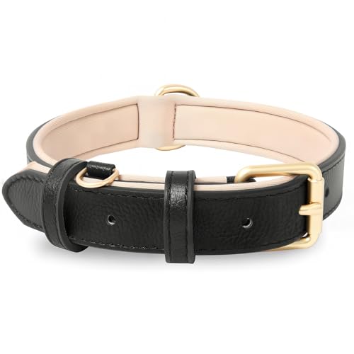 HEELE Collare Cane in Pelle, Imbottitura Morbida Resistente, Collare per Cani di Taglia Piccola, Media e Grande, Nero, M