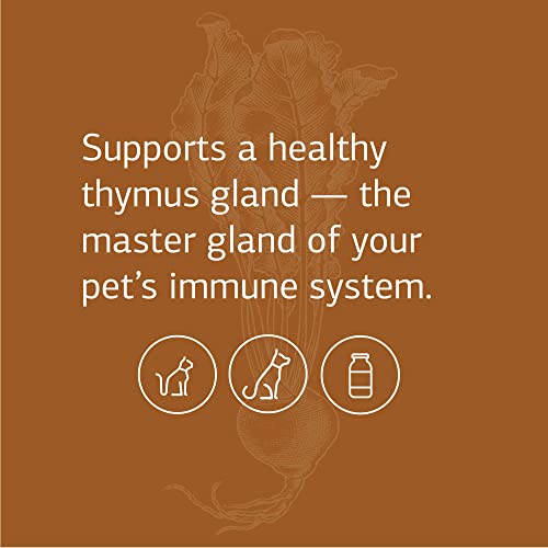 Standard Process Inc. A3020 Standard Process Vf Thymex For Pets - Cat & Dog Immune System Support Supplement - Thymus Supplement To Aid Canine & Feline Immune Health - Supplement With Vitamin C - 90 Tablets thumb #2