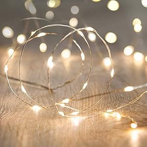 ANJAYLIA LED Fairy String Lights, 10Ft/3M 30leds Firefly String Lights Garden Home Party Wedding Festival Decorations…