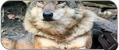 XXL Tamaño Grande Mouse Pads, Wolf Wolves Snow Wolf Paisaje Mousepad XXL para Juego