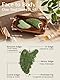 Rena Chris Großes Gua Sha, Natürlicher Jade Gua Sha Stein, Guasha Massagesteine für Lymphdrainage, Ganzkörperanwendung Beine Rücken und Gesicht (Grün)