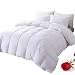 DOWNCOOL 100% Cotton Quilted Down Comforter with Corner Tabs - White Goose Duck Down Feather Filling - Lightweight and Medium Warmth Box Stitched All-Season Duvet Insert - Full/Queen