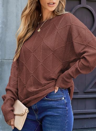 Image of EVALESS Casual Crewneck Sweaters for Women Fall Winter 2026 Lightweight Long Batwing Sleeve Pullover Sweaters Tops Clothes