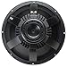B AND C 18NW100 Studio Subwoofer, Black, 10.00 x 5.00 x 18.00