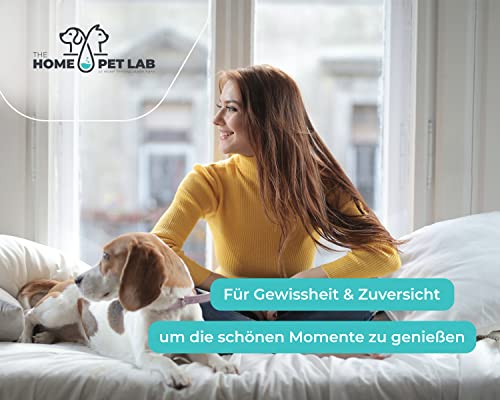 The Home Pet Lab 1 x Giardien Schnelltest Hund & Katze - Giardien-Test zuverlässig als Test bei Darmparasiten und Durchfall - Für Hunde & Katzen bei Giardia (1 x Test)
