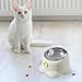 Leefasy Tilted Cat Feeder Bowl Food Dispenser Living Room Home Travel Indoor Watering Feeding Dish Cat Food Bowl for Pets Small Dogs, White
