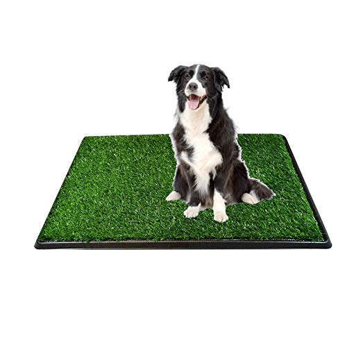CDHPET Pet Potty Dog Grass Pee Potty Pad,Artificial Grass for Dogs Potty,Portable Potty Grass Training Mat (20"x30")