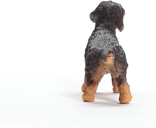 Miniatura 5 de Schleich Perro salchicha de pelo de alambre
