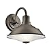 Kichler 49223OZ Point Judith Outdoor Sconce, Olde Bronze