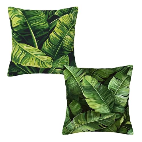Funda Cojin 50x50 cm Aceituna, Terciopelo Funda Cojines Sofa Juego de 2, Cojines Decorativos para Sofa Impermeable, Pillow Case Impresión a Doble Cara para Decoracion Hogar, Sala de Estar (Hojas) Z-70