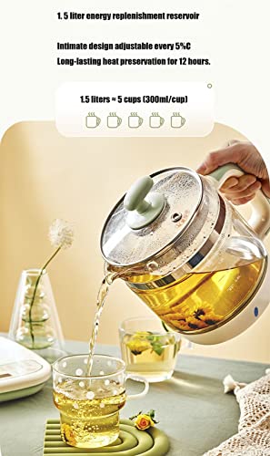 Tetera eléctrica de vidrio 1.5 L con control de temperatura miniatura 3
