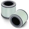 CPGSY TR-8080 HEPA Replacement Filter, 4 Stage HEPA Filtration Systems, Compatible with Dreamegg Purifier 1|2 Pack. (LightGreen, 2 Pack)