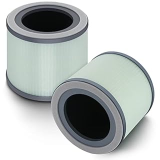 CPGSY TR-8080 HEPA Replacement Filter, 4 Stage HEPA Filtration Systems, Compatible with Dreamegg Purifier 1|2 Pack. (LightGreen, 2 Pack)