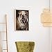 HETVBNS Diamond Painting Kits for Adults 5D Diamond Art Kit English Bulldog Paint by Diamonds for Beginners DIY Full Drill Diamonds Dots Paintings Wall Decor 12