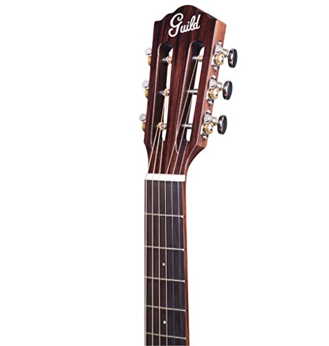 Guild Guitars P-240 Guitare acoustique Parlor Memoir 12 frettes Naturel Solid Top Collection Westerly - Les Beatles, Paul McCartney, John Lennon, RIngo Starr, George Harrison Guild Guitars P-240 Guitare acoustique Parlor Memoir 12 frettes Naturel Solid Top Collection Westerly – Image 5