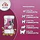 8in1 Bierhefe Tabletten - einzigartige Kombination aus Vitaminen für alle Hunde, unterstützt die Haut- und Fellpflege, 1 Dose (260 Tabletten)