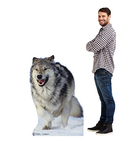 Image of Cardboard People Wolf Life Size Cardboard Cutout Standup