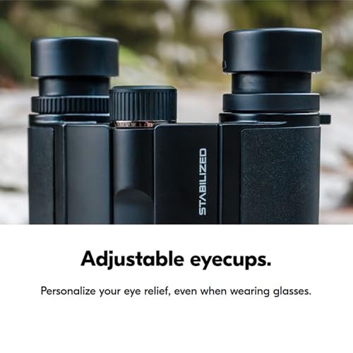 Nikon Binoculares Estabilizados 12x25 Compactos miniatura 3