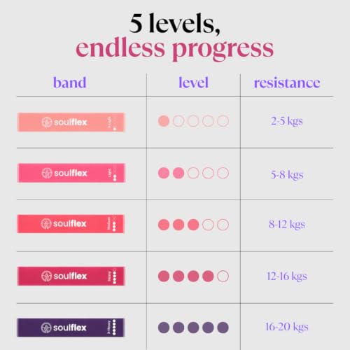 Image of Soulflex Imported Resistance Band | Mini Loop Band for Exercise | Stretch Exercise Band for Glutes | Thera Band for Fitness, Training & Strength & Conditioning (Set of 5 - Vibe Edition)