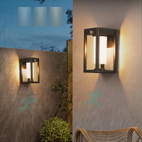 Applique murale solaire LED IP65 noire avec détecteur lot de 2