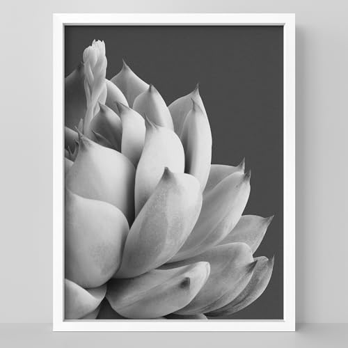 SIGNLEADER Framed Grayscale Succulent Blossom Wall Art Print, Minimalist Spaces