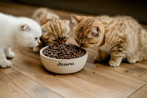 JOSERA SensiCat (1 x 2 kg) | Adult | Premium Trockenfutter für ausgewachsene empfindliche Katzen | Geflügel & Reis | extra verträgliche Rezeptur | weizenfrei | Katzenfutter | 1er Pack