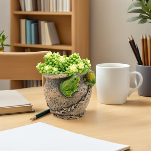 Pot de fleurs grenouille mignon en ciment pour une touche déco joyeuse