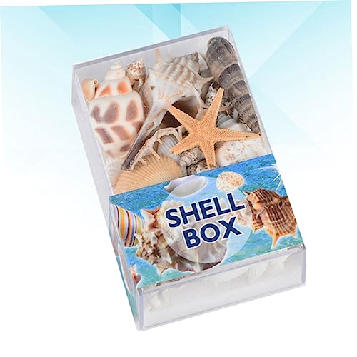 Conchas marinas Yardwe de playa para rellenar jarrones y composiciones acrílicas 7