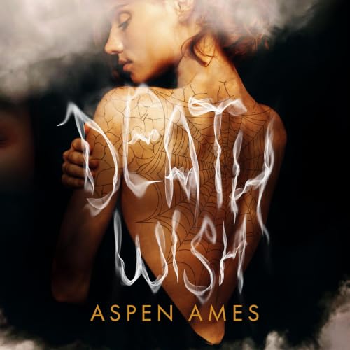 Death Wish cover art