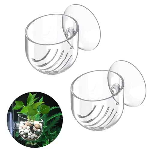 Pawfly 2 Stück klare Aquarien Pflanzenhalter aus Kunststoff für Fischbecken mit Saugnapf Aquarien Pflanzbecher für Aquascape Deko inklusive Rotwurm Fischfutter