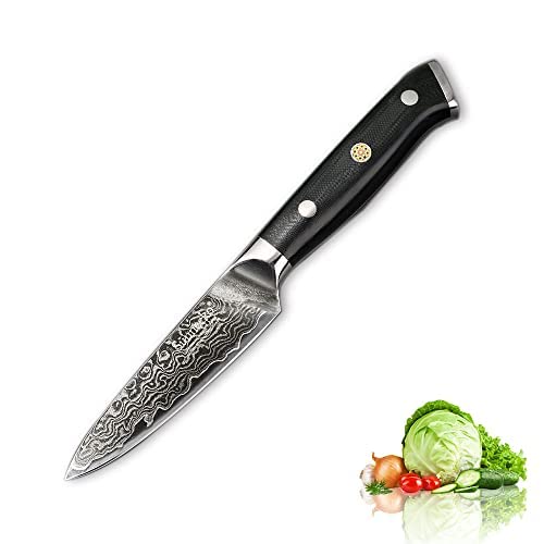 Sunnecko Couteau Cuisine en Acier Damas 73 Couches, Couteau Japonais 9 cm, Couteau Office de Cuisine Professionnelle à Éplucher des Fruits, Idée Cadeau pour Chef Professionnel et Amateurs Cover