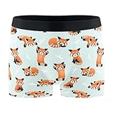 JHKKU Cute Red Panda Men's Boxer Briefs Moisture Wicking Breathable Underwear Trunks M