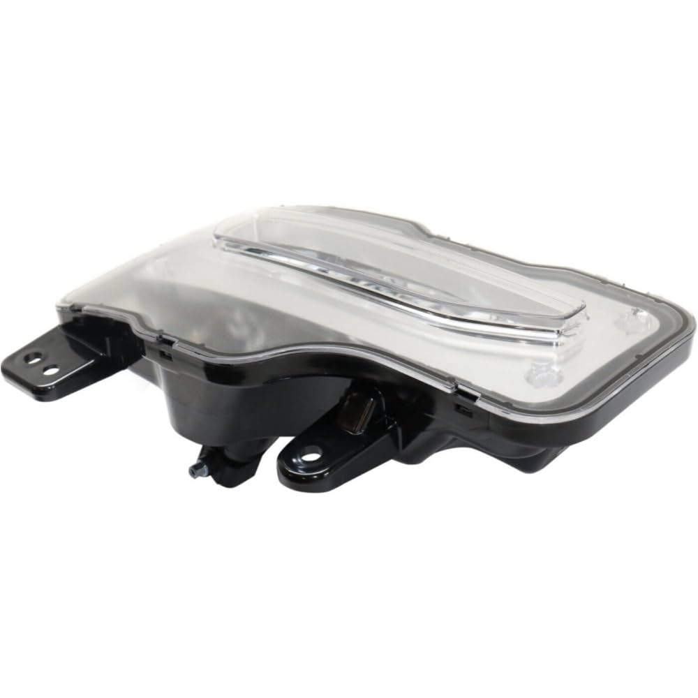 Amazon.com: XCNSHIDY Fog Fits Set of 2 Front Driver and Passenger 