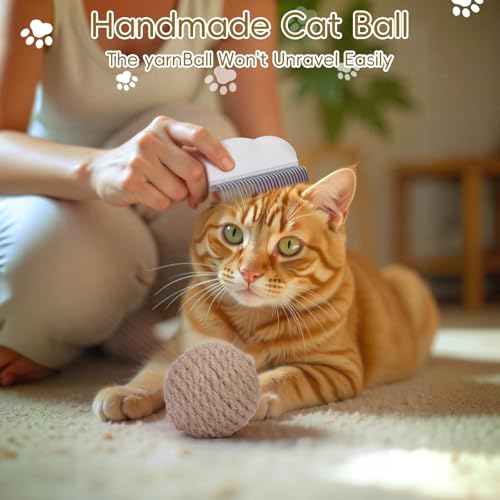 Image of 2-in-1 Pet Hair Removal Massaging Shell Comb, Soft Deshedding Brush for Cats & Dogs, Gentle Grooming Tool for Mats & Tangles (White)