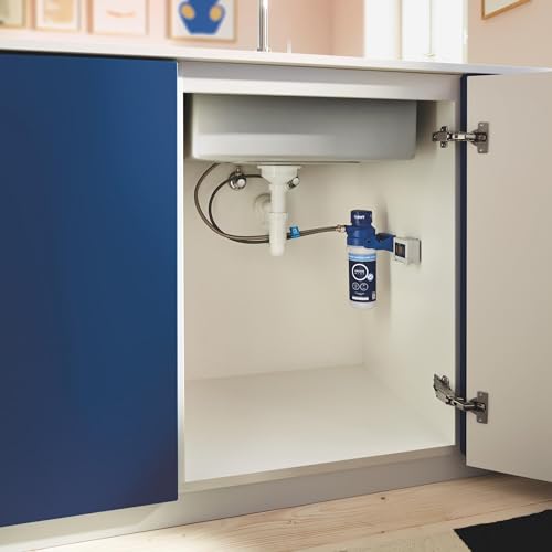 GROHE Blue - Austauschfilter (S-Size, 600 Liter bei 20° dKH, 5-Phasen-Filter), 40404001 & Blue - CO2 Flasche (425g, für jeden Wassersprudler, für bis zu 60 Liter), chrom, 40651000
