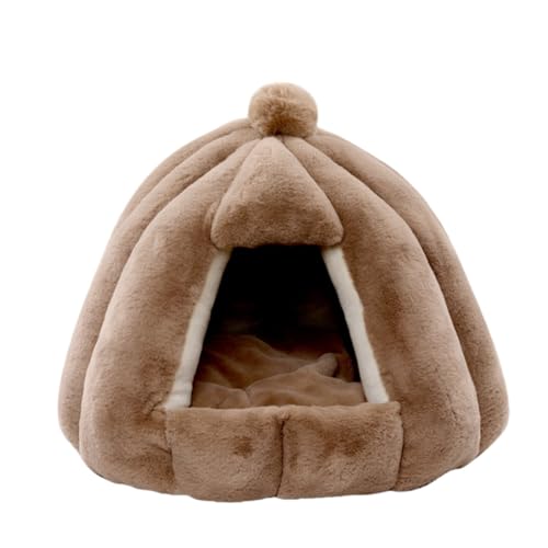 Dlwk h[^̃LbgnEXƃhbOP[W͎OĐ􂤂Ƃł ybgpQ܂͓~łg lGʂĎg_炩ȏ^nEXł L xbh ~ ~߉H̒ꕔ͈芴S LqɒgKȐ񋟂܂ (uE