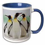 3dRose King Penguin, Falkland Islands. Group of penguins standing in ocean. 15oz Two-Tone Blue Mug