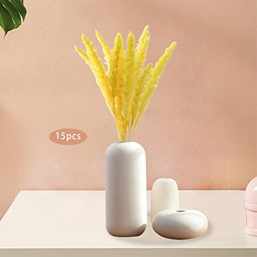 Generic 30x Seca Dos Fragmites Junco Flor Junco Decoração Da Sala de